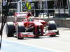 GP UNGHERIA, 27.07.2013- Free practice 3, Felipe Massa (BRA) Ferrari F138