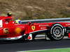 GP UNGHERIA, 26.07.2013- Free practice 1, Felipe Massa (BRA) Ferrari F138