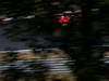 GP UNGHERIA, 26.07.2013- Free practice 2, Fernando Alonso (ESP) Ferrari F138