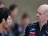 GP USA, 17.11.2013- Adrian Newey (GBR), Red Bull Racing , Technical Operations Director 