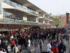 GP USA, 14.11.2013- Pit walk