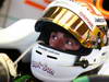GP USA, 16.11.2013- Free Practice 3, Adrian Sutil (GER), Sahara Force India F1 Team VJM06