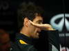 GP USA, 15.11.2013- Free Practice 1, Mark Webber (AUS) Red Bull Racing RB9 