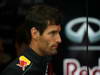 GP USA, 15.11.2013- Free Practice 1, Mark Webber (AUS) Red Bull Racing RB9 