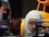 GP USA, 15.11.2013- Free Practice 1, Sebastian Vettel (GER) Red Bull Racing RB9 