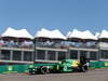 GP USA, 15.11.2013- Free Practice 2, Charles Pic (FRA) Caterham F1 Team CT03 