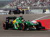 GP USA, 15.11.2013- Free Practice 2, Charles Pic (FRA) Caterham F1 Team CT03 