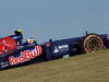 GP USA, 15.11.2013- Free Practice 2, Daniel Ricciardo (AUS) Scuderia Toro Rosso STR8 