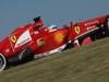 GP USA, 15.11.2013- Free Practice 2, Fernando Alonso (ESP) Ferrari F138 