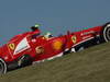 GP USA, 15.11.2013- Free Practice 2, Felipe Massa (BRA) Ferrari F138 