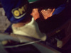 AYRTON SENNA, Fia Formula One World Championship 1994 Ayrton Senna (bra) Williams FW16 Renault