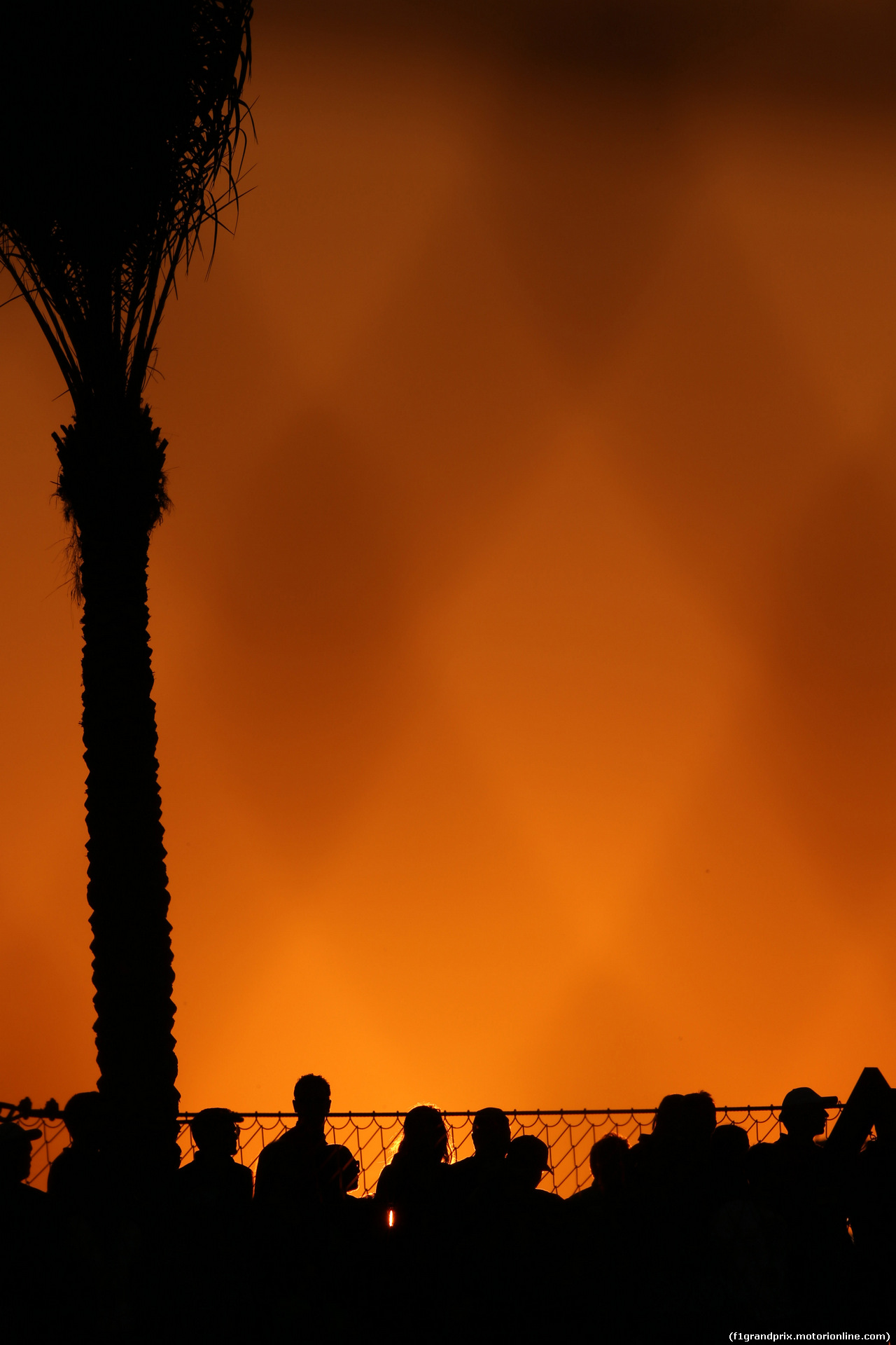 GP ABU DHABI, 23.11.2014- Gara, Atmosfera