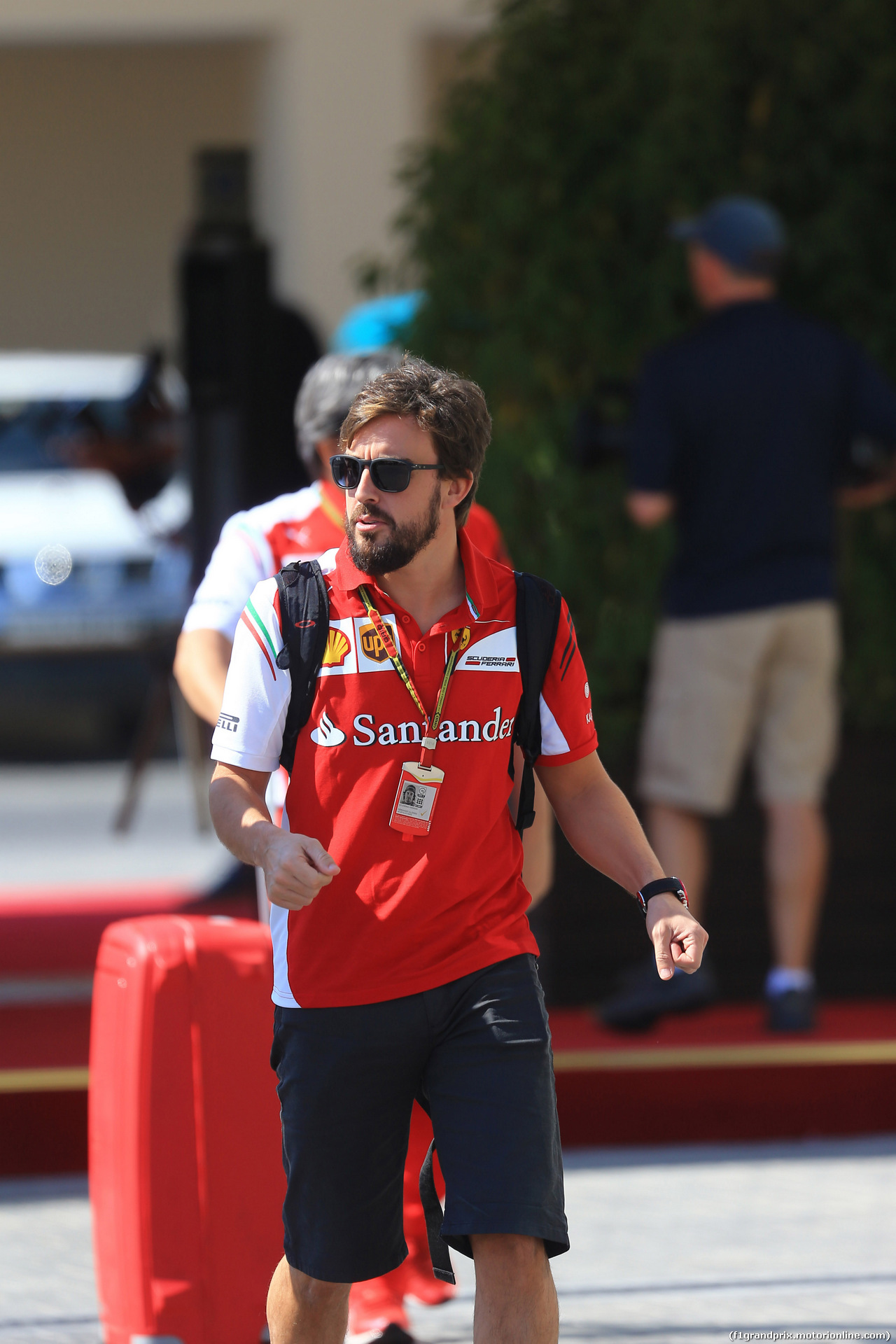 GP ABU DHABI, 22.11.2014 - Prove Libere 3, Fernando Alonso (ESP) Ferrari F14-T