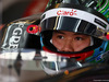 GP ABU DHABI, 21.11.2014 - Free Practice 1, Adderly Fong (HKG) Test Driver, Sauber F1 Team C33