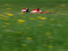 GP AUSTRIA, 20.06.2014- Free Practice 2, Fernando Alonso (ESP) Ferrari F14-T