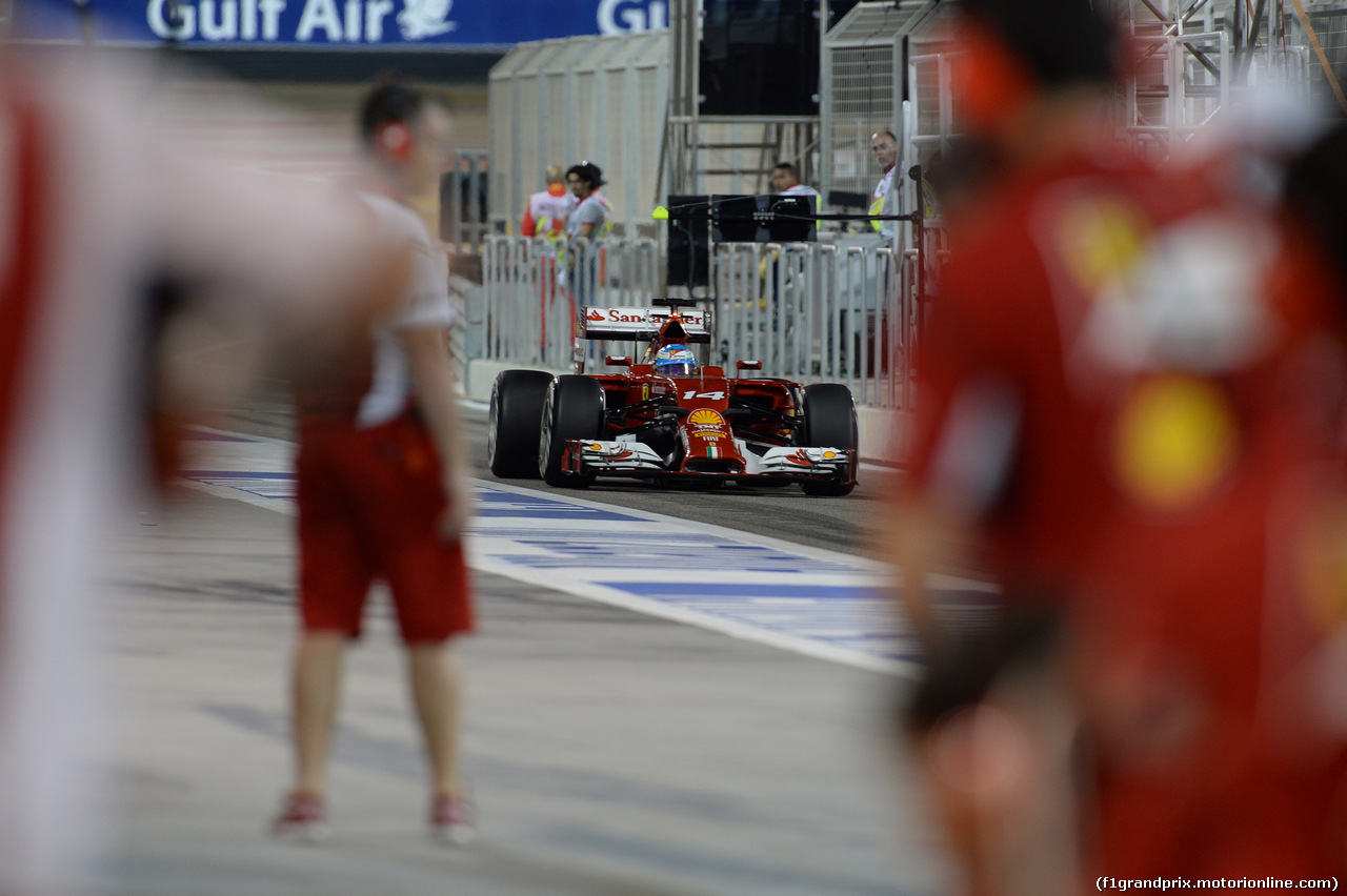 GP BAHRAIN, 04.04.2014- Prove Libere 2, Fernando Alonso (ESP) Ferrari F14T