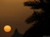 GP BAHRAIN, 04.04.2014- Atmosphere