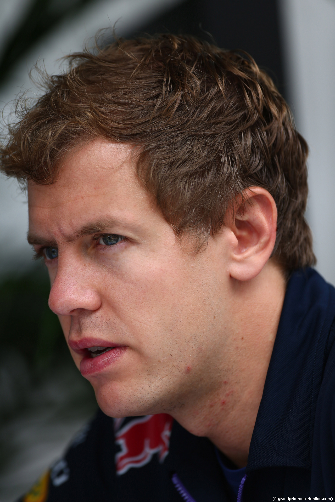 GP BRASILE, 06.11.2014 - Sebastian Vettel (GER) Red Bull Racing RB10