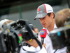 GP BRASILE, 06.11.2014 - Adrian Sutil (GER) Sauber F1 Team C33