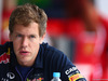 GP BRASILE, 06.11.2014 - Sebastian Vettel (GER) Red Bull Racing RB10