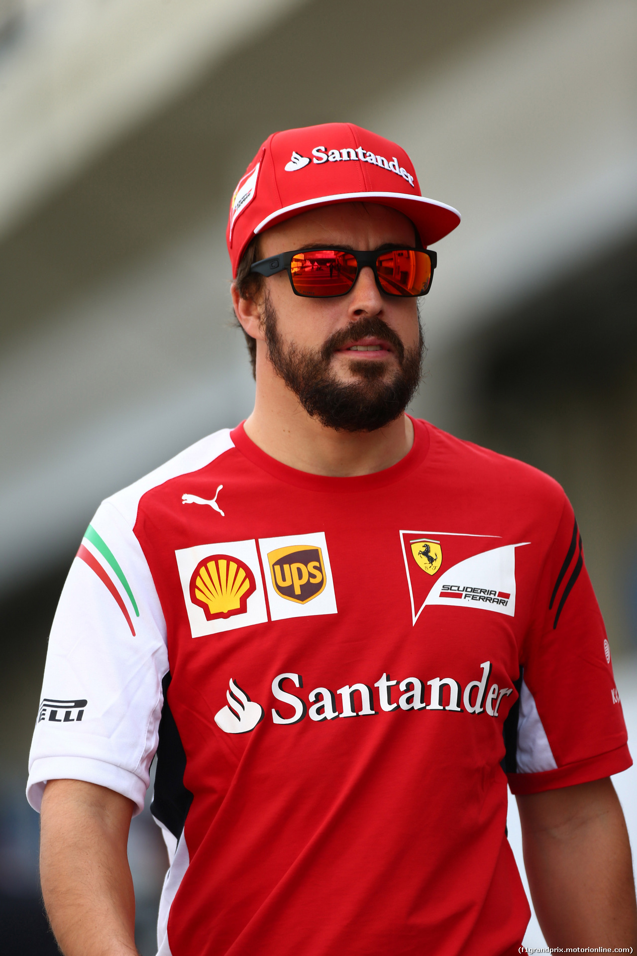 GP BRASILE, 07.11.2014 - Fernando Alonso (ESP) Ferrari F14-T