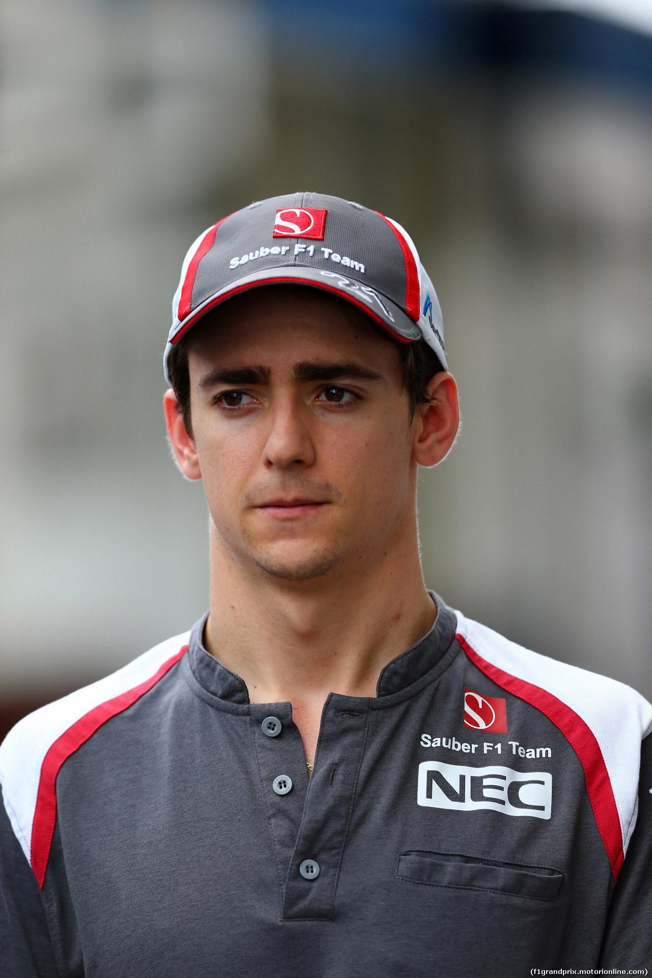 GP BRASILE, 07.11.2014 - Esteban Gutierrez (MEX), Sauber F1 Team C33