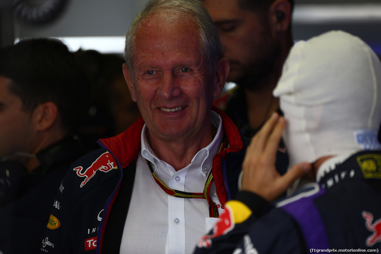 GP BRASILE, 08.11.2014 - Prove Libere 3, Helmut Marko (AUT), Red Bull Racing, Red Bull Advisor