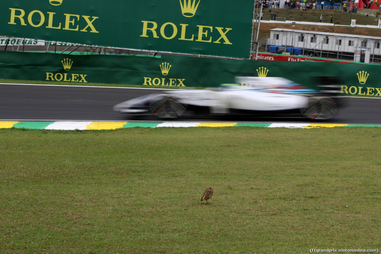 GP BRASILE, 08.11.2014 - Prove Libere 3, Valtteri Bottas (FIN) Williams F1 Team FW36