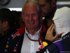 GP BRASILE, 08.11.2014 - Free Practice 3, Helmut Marko (AUT), Red Bull Racing, Red Bull Advisor