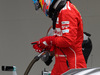 GP BRASILE, 08.11.2014 - Qualifiche, Fernando Alonso (ESP) Ferrari F14-T