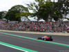 GP BRASILE, 08.11.2014 - Qualifiche, Daniel Ricciardo (AUS) Red Bull Racing RB10