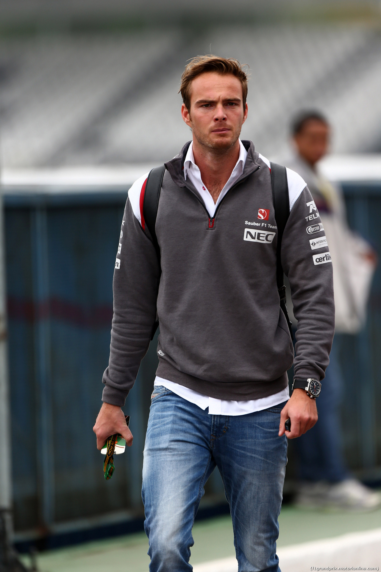GP BRASILE, 07.11.2014 - Giedo van der Garde (NDL), third driver, Sauber F1 Team.