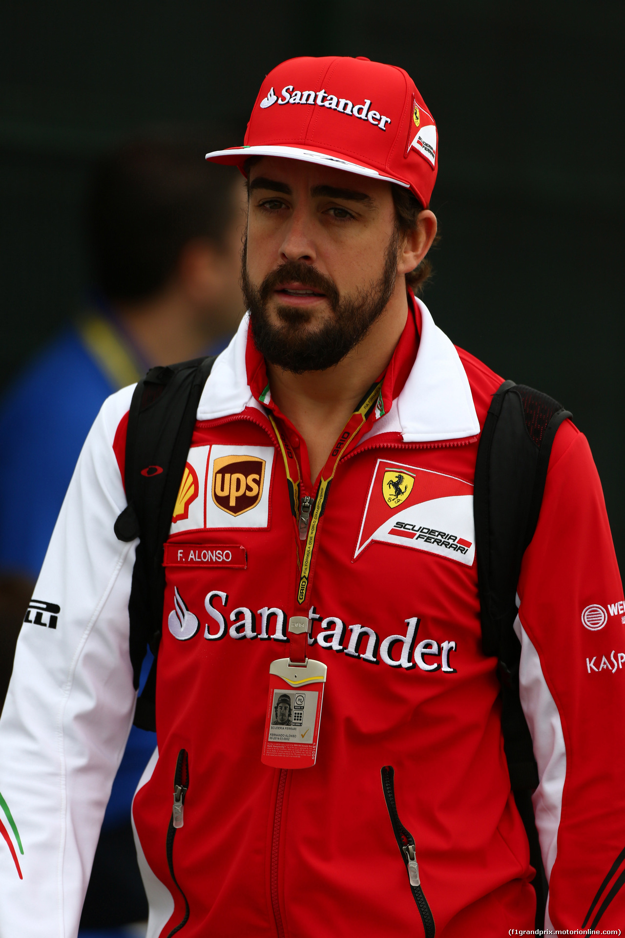 GP BRASILE, 07.11.2014 - Fernando Alonso (ESP) Ferrari F14-T