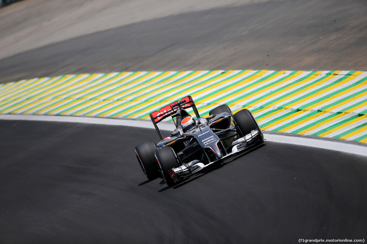 GP BRASILE, 07.11.2014 - Prove Libere 2, Adrian Sutil (GER) Sauber F1 Team C33