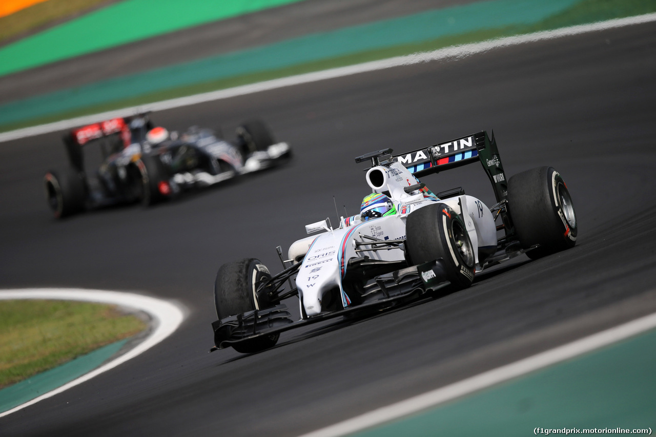 GP BRASILE, 07.11.2014 - Prove Libere 2, Felipe Massa (BRA) Williams F1 Team FW36