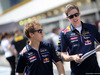 GP BRASILE, 06.11.2014 - Sebastian Vettel (GER) Red Bull Racing RB10
