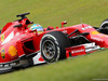 GP BRASILE, 07.11.2014 - Free Practice 1, Fernando Alonso (ESP) Ferrari F14-T