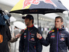 GP GIAPPONE, 05.10.2014 - Daniel Ricciardo (AUS) Red Bull Racing RB10
