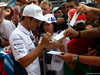 GP ITALIA, 04.09.2014- Autograph session, Felipe Massa (BRA) Williams F1 Team FW36