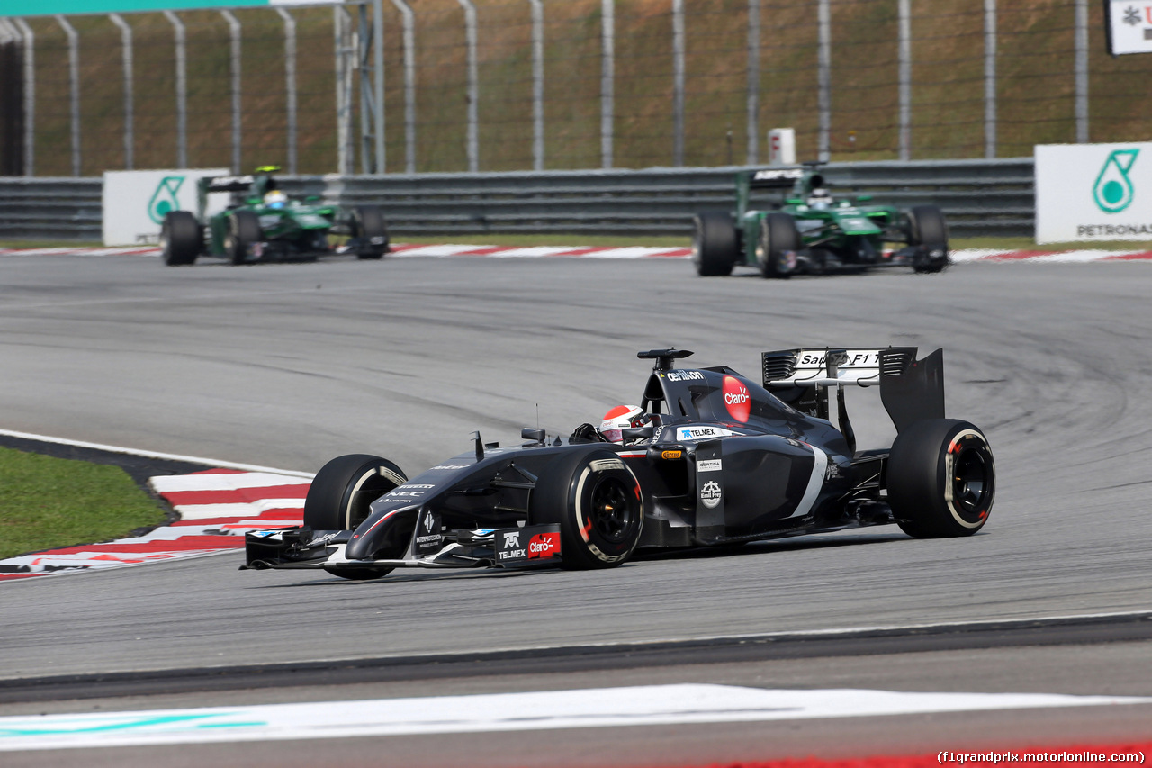 GP MALESIA, 30.03.2014 - Gara, Adrian Sutil (GER) Sauber F1 Team C33