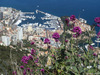 GP MONACO, 21.05.2014- Monte Carlo Atmosfera