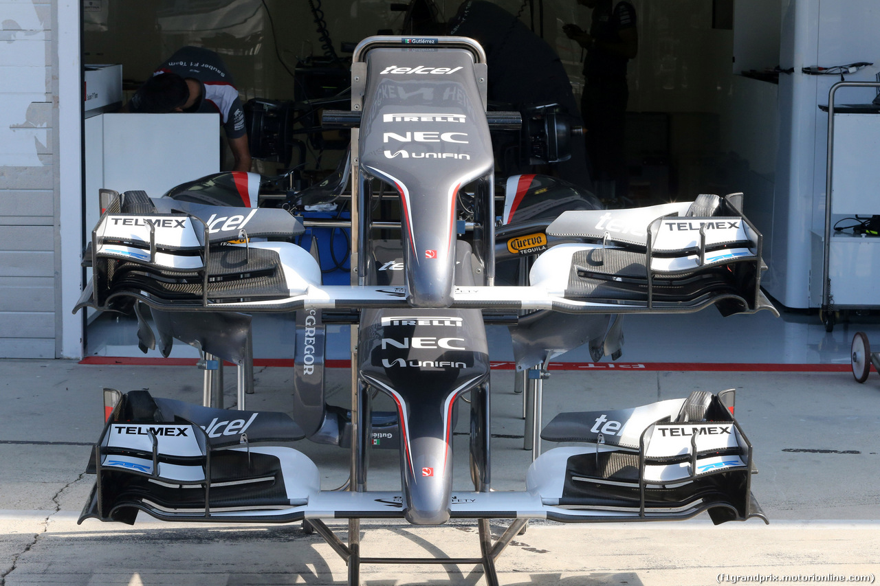 GP UNGHERIA, 24.07.2014- Sauber F1 Team C33, detail