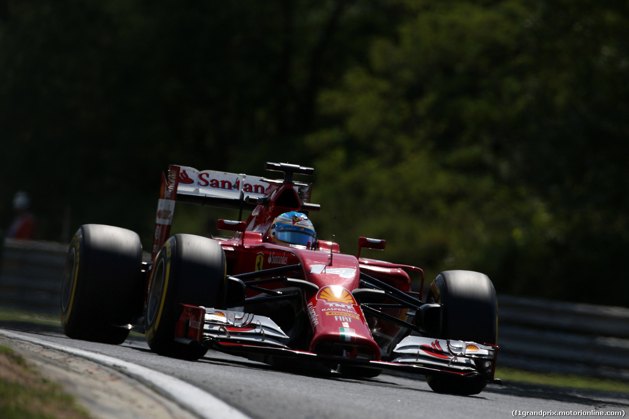 GP UNGHERIA, 25.07.2014- Prove Libere 2, Fernando Alonso (ESP) Ferrari F14-T