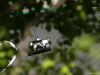 GP UNGHERIA, 25.07.2014- Free Practice 2, Felipe Massa (BRA) Williams F1 Team FW36