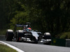 GP UNGHERIA, 25.07.2014- Free Practice 2, Adrian Sutil (GER) Sauber F1 Team C33