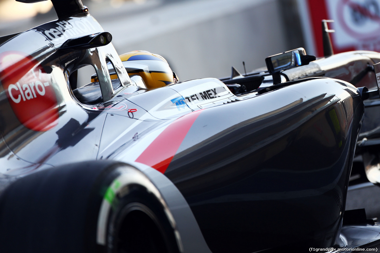 TEST F1 ABU DHABI 25 NOVEMBRE, Marcus Ericsson (SWE) Sauber C33.
25.11.2014.