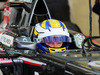 TEST F1 ABU DHABI 25 NOVEMBRE, Marcus Ericsson (SWE) Sauber C33.
25.11.2014.