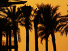 TEST F1 ABU DHABI 25 NOVEMBRE, Fans in the sunset.
25.11.2014.