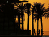 TEST F1 ABU DHABI 25 NOVEMBRE, Fans in the sunset.
25.11.2014.