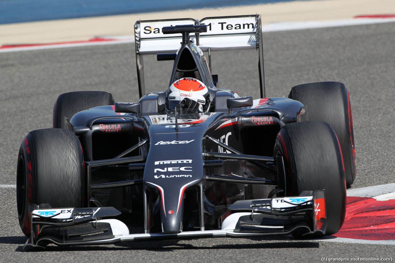 TEST F1 BAHRAIN 02 MARZO, Adrian Sutil (GER) Sauber C33.
02.03.2014. Formula One Testing, Bahrain Test Two, Day Four, Sakhir, Bahrain.
-